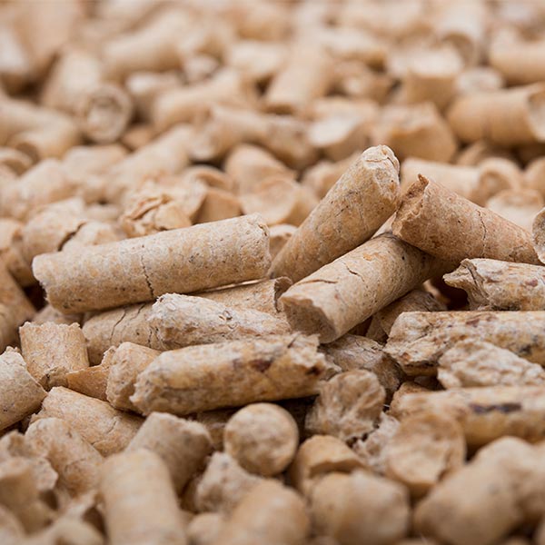 home-caldaie-pellet